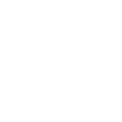 Priyam Ventures - Premium Venture Studio Logo